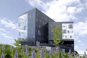 WU Executive Academy oferă burse de studiu în valoare de 200.000 de euro 