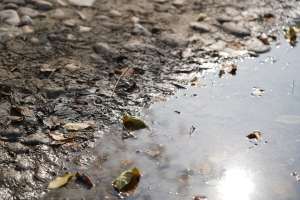 Apele Române anunţă că poluarea de pe râul Loptana a fost stopată