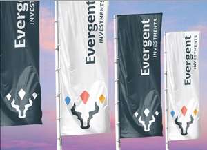 Evergent Investments raportează investiţii de 151,6 milioane de lei