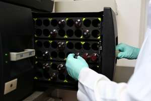 Cord Blood Center anunţă o creştere de 74% a numărului de tratamente cu celule stem