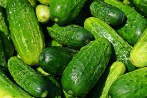 Castraveţii contaminaţi din Buzău nu au fost comercializaţi şi sunt din nou testaţi