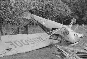  Autorităţile columbiene: "Cei 4 copii dispăruţi de o lună în junglă în urma unui accident aviatic sunt "< < în viaţă > >"