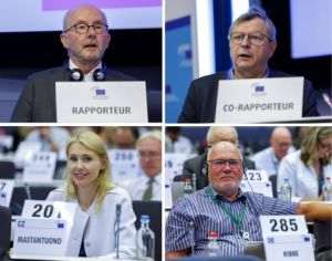 Reforma pieţei energiei electrice - Comitetul Economic şi Social European propune un organism public instituit de guvern