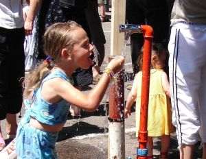 Zeci de mii de persoane au murit din cauza temperaturilor tot mai crescute