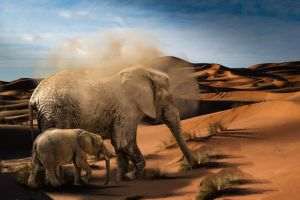 Meteorologii au înregistrat cea mai călduroasă zi la nivel global
