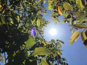 ANM: Vremea va intra într-un proces de răcire din 27 iulie