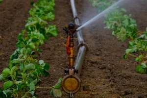 MADR lansează 6 ghiduri ale solicitantului, în consultare publică