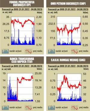 Tranzacţii de numai 34,6 milioane lei, cu mult sub media zilnică a anului 