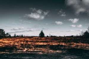Un alt "rai turistic" este devastat de incendii