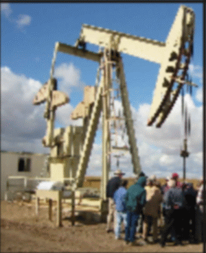 Ţările din afara OPEC pot înlocui petrolul scos de pe piaţă de cartel