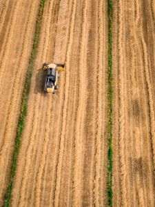  Ucraina: Exporturile de cereale afectate de blocarea porturilor de la Marea Neagră