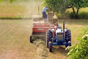 MADR increases the value of lending to farmers