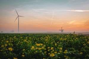 Ministerul Antreprenoriatului alocă 12,55 milioane de euro, pentru economia circulară