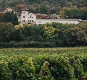 Sursa foto: facebook / Purcari Wines