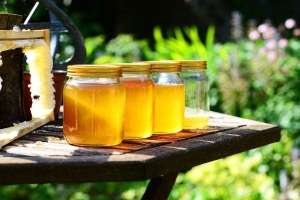 MADR: România ocupă locul 2 în Europa la numărul de familii de albine; consumul de miere a crescut la 1,2 kg/locuitor/an
