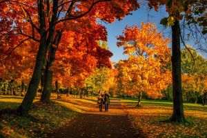 Meteorologii anunţă temperaturi mai ridicate decât cele normale până la jumătatea lunii octombrie