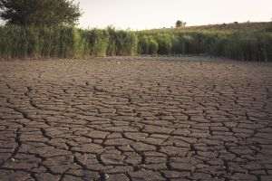 UN: The climate crisis represents a major barrier to combating hunger.