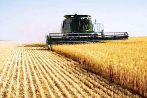 Sursa foto: facebook / Agroland Agribusiness