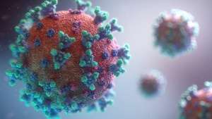 INSP: 53 de cazuri confirmate şi două probabile de infecţie cu virusul West Nile