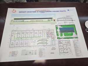Ministrul Agriculturii anunţă începerea construirii primelor şase centre de colectare legume-fructe