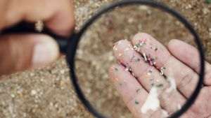 Studiu: Aproape 100 de tone de plastic sunt purtate anual de apele Dunării pe teritoriul României