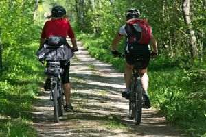 The Tour of Romania in cycling has been postponed for at least one year