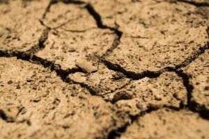 Brazilia a trimis un ajutor de urgenţă în statul Amazonas afectat de secetă