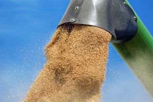 Rusia şi China îşi extind comerţul cu produse agricole