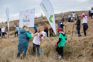 Nestle Romania extinde Pădurea de Miere la 7 hectare