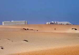 COP28 - Schimbările climatice, ameninţare pentru sănătatea oamenilor