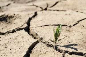Drought is causing big problems in the metropolitan area of a famous city