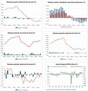 Macro Newsletter 6 Februarie 2024