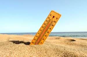 Spain recorded the hottest month of January
