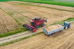 Reuters: UE ajunge la un acord interimar pentru prelungirea importurilor agricole ucrainene fără taxe vamale