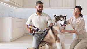 Piaţa globală a produselor de îngrijire a animalelor de companie va creşte continuu
