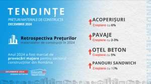 Rezistenţa industriei construcţiilor în faţa provocărilor economice din 2024 