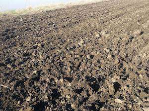 Foto:Agentia de Plati si Interventie pentru Agricultura/Facebook