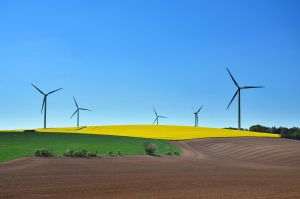 China îşi exprimă disponibilitatea de a colabora cu Marea Britanie în domeniul dezvoltării ecologice 