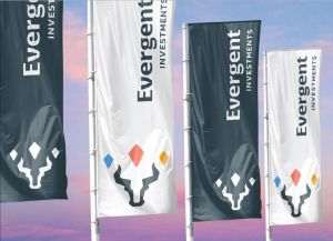 EVERGENT Investments propune un dividend cu randament de 7,64%