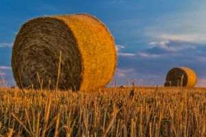 Fonduri suplimentare pentru achiziţia de utilaje agricole în cadrul submăsurii 4.1.1.