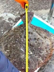 Pescador neînregistrat, propulsat de un motor furat, cu peste 760 kg de peşte la bord