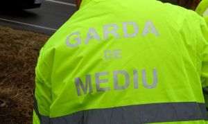 Garda de Mediu a descoperit mai multe exploatări ilegale de pietriş, în Bistriţa-Năsăud