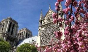 Europe records hottest March on record