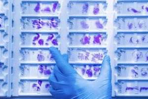 Gral Medical crestere cu 30% a veniturilor in 2024 