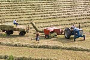 Fermierii americani avertizează: "Criza tarifelor nu este iminentă, este deja o criză în toată regula"