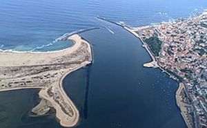 Sursă foto: Wikipedia