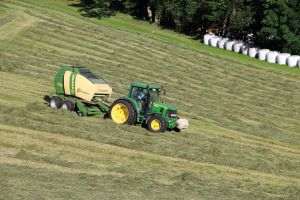 Producţii agricole solide în 2024