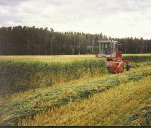 Noi măsuri fiscale pentru stimularea producţiei agricole şi a industriei alimentare