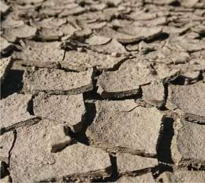 Anglia se confruntă cu cea mai secetoasă primăvară din ultimele şapte decenii: riscul unei crize de apă creşte