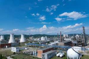 Scăderea cererii a afectat rezultatele din primul trimestru obţinute de Chimcomplex